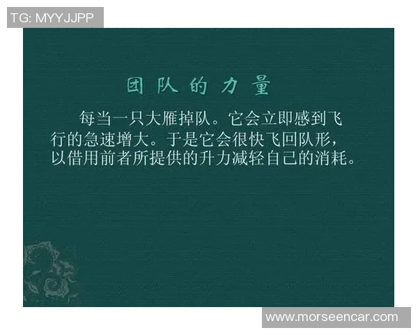 南京排球队的意识提升与团队协作探讨聚焦排球运动发展新思路