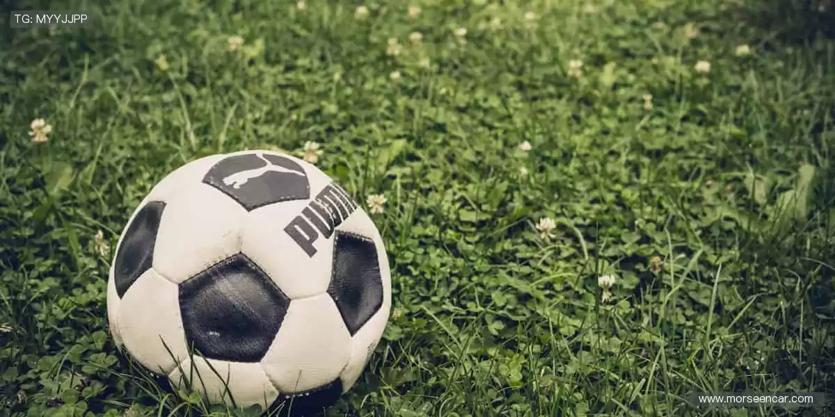 📺高清直播，流畅无阻！⏰赛事预告，提前锁定你的观赛日程！